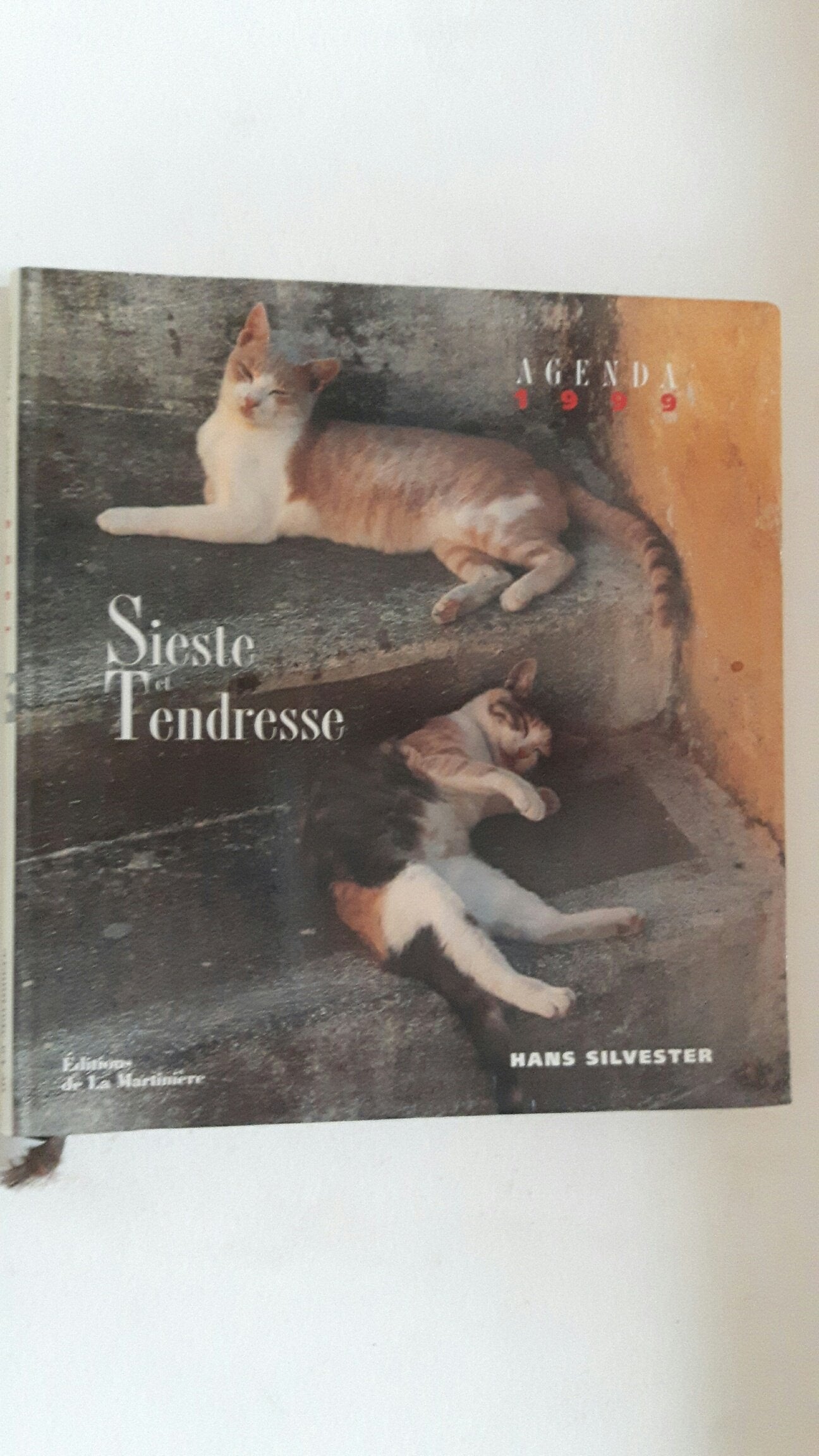 Agenda 99 chats - sieste et tendresse (Photo Découverte) Books