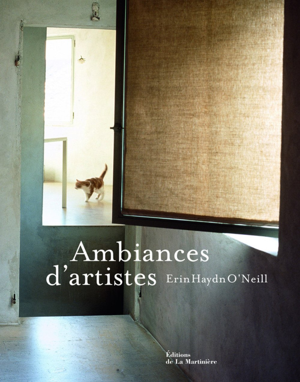 Ambiances d'artistes book