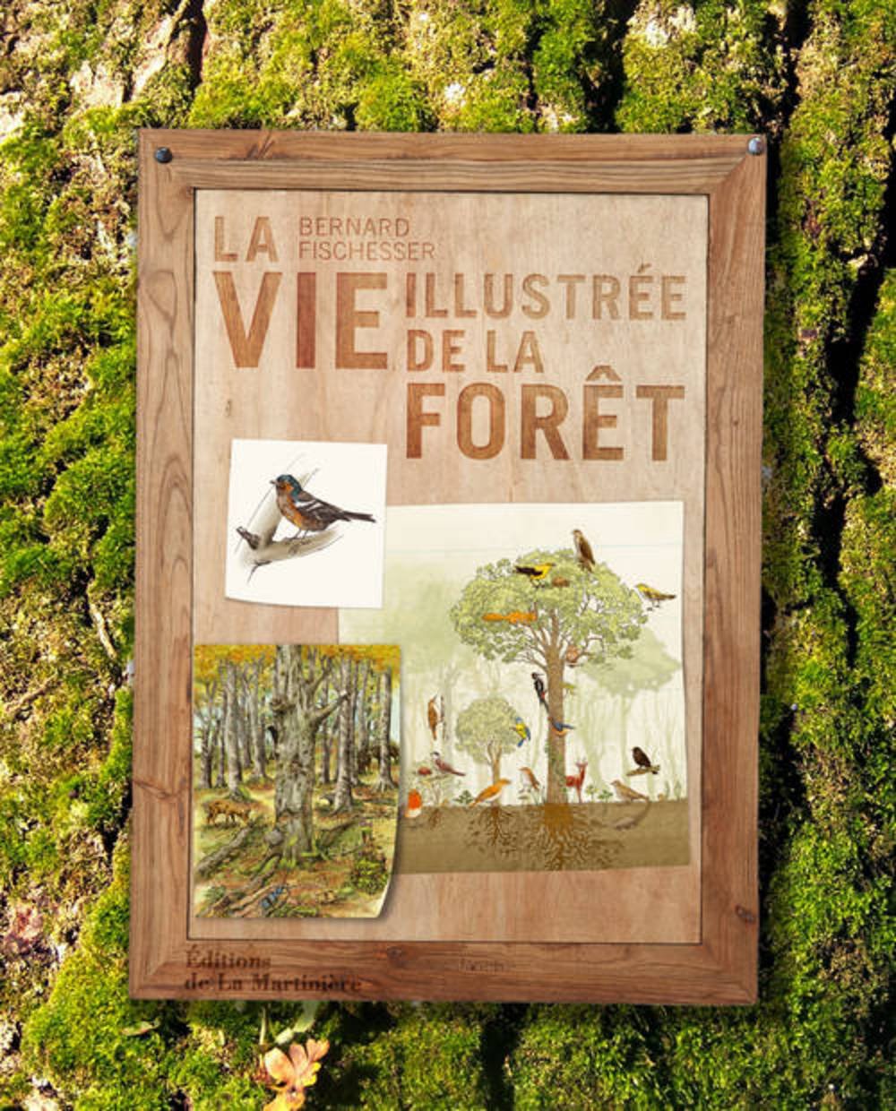 La Vie illustrée de la forêt Film, Art & Culture