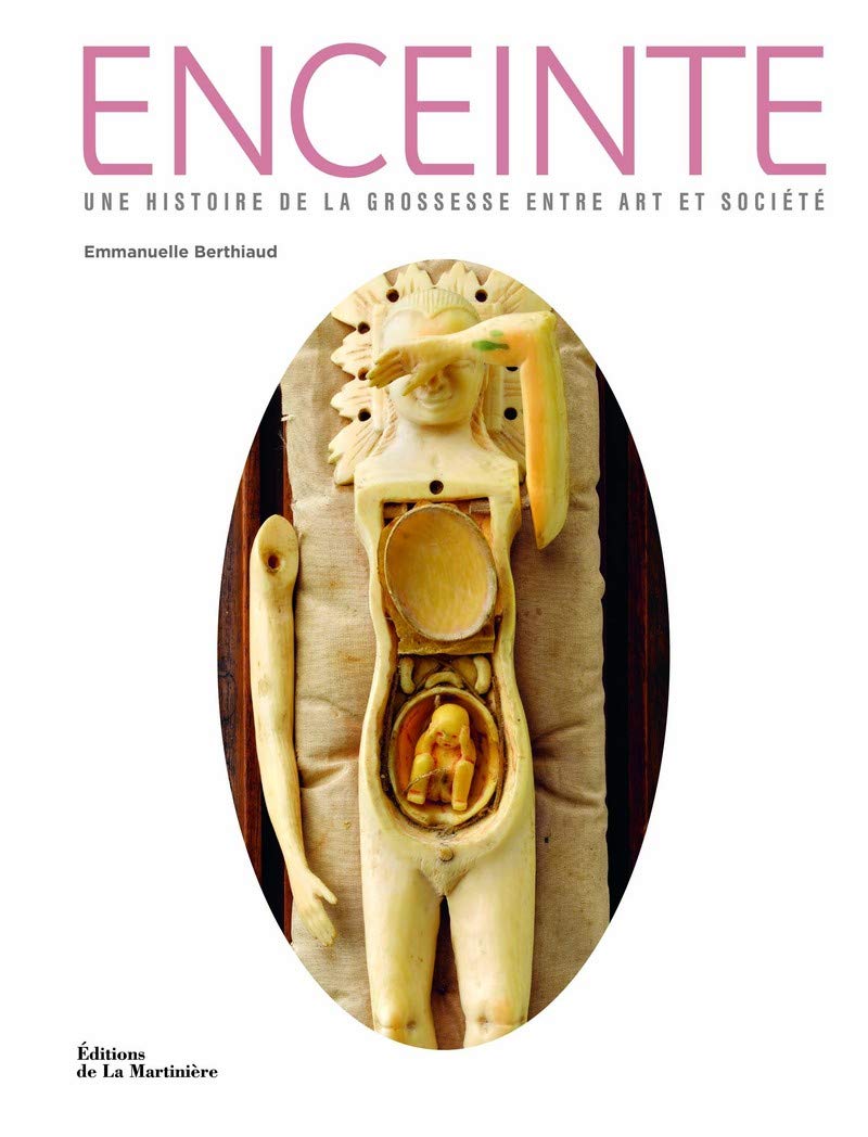 Enceinte: Une histoire de la grossesse entre art et société Books