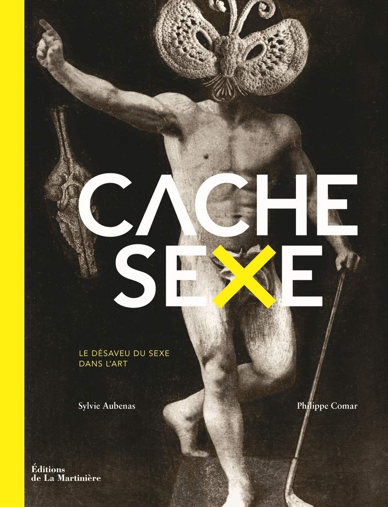 Cache-sexe: Le désaveu du sexe dans l'art Books