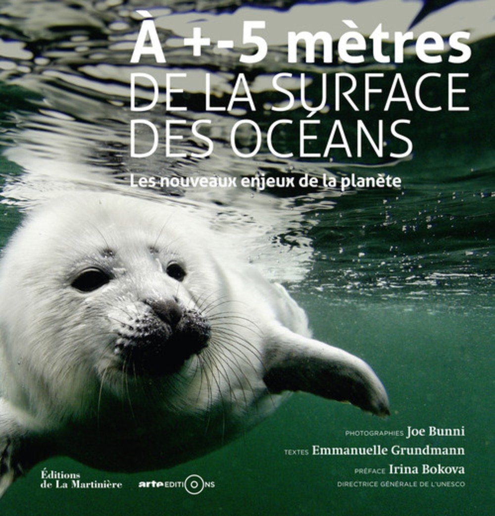 À +- 5 mètres de la surface des océans: Les Nouveaux enjeux de la planète Mathematics