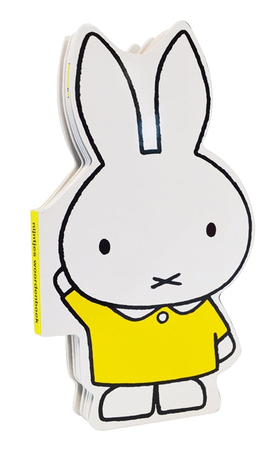 Product Image: Mes premiers mots avec Miffy