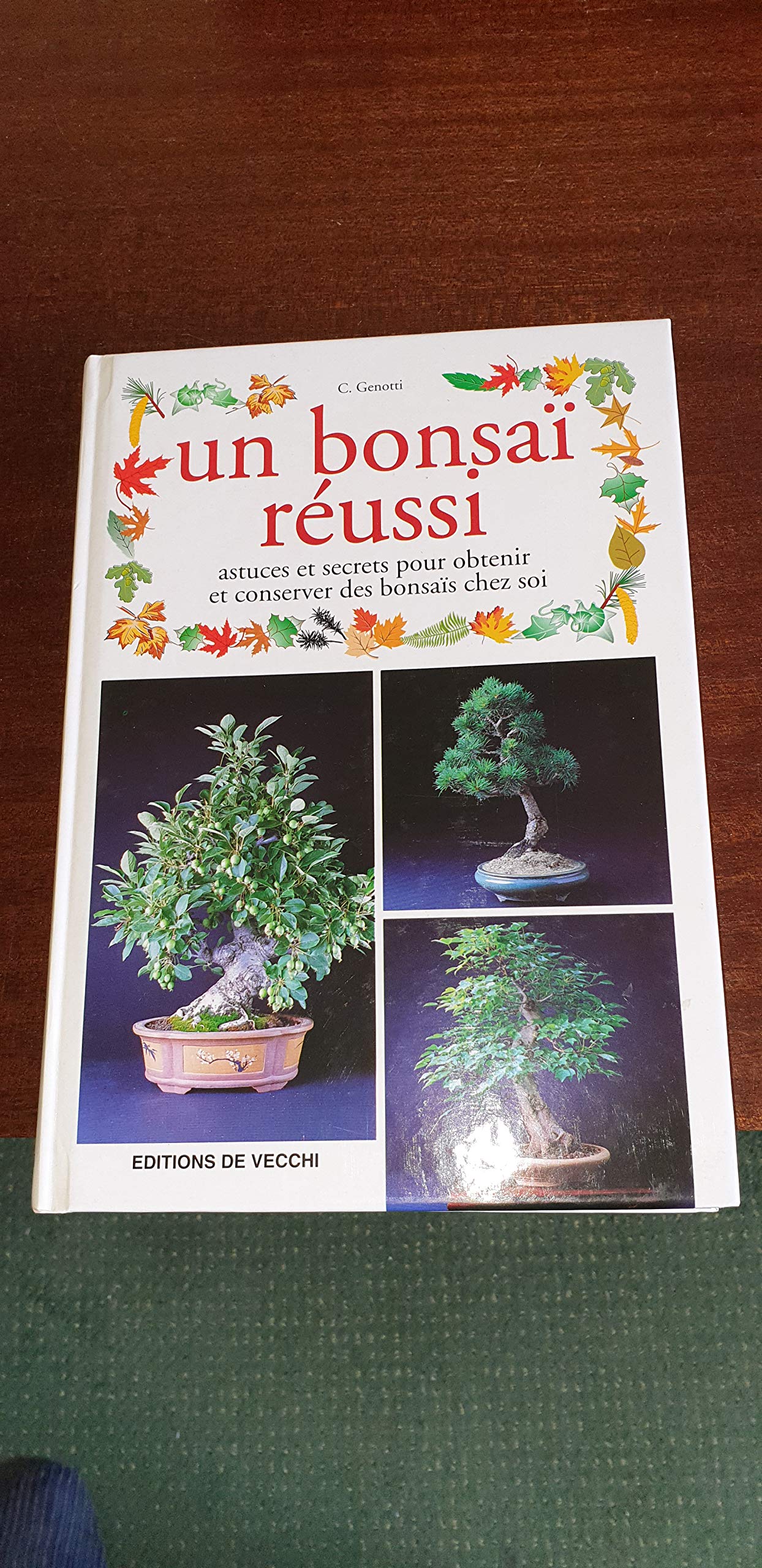 Un Bonsai Reussi Books