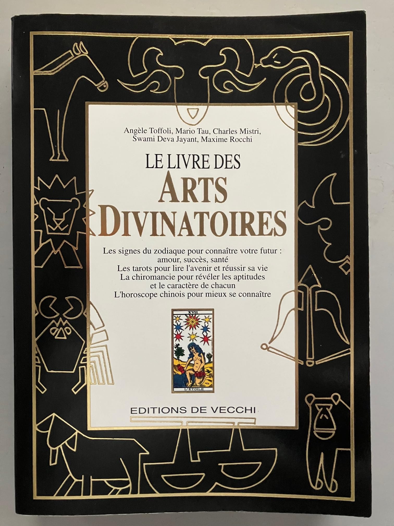 Le livre des arts divinatoires book
