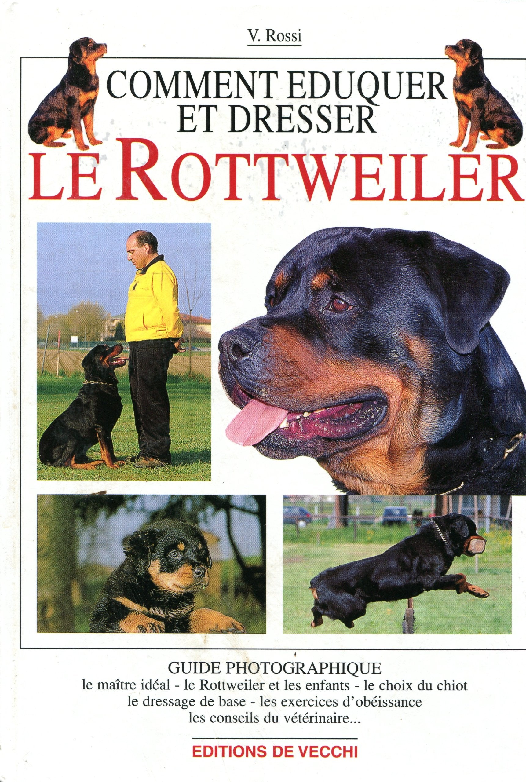 Comment dresser et éduquer un Rottweiler Leisure & Fun