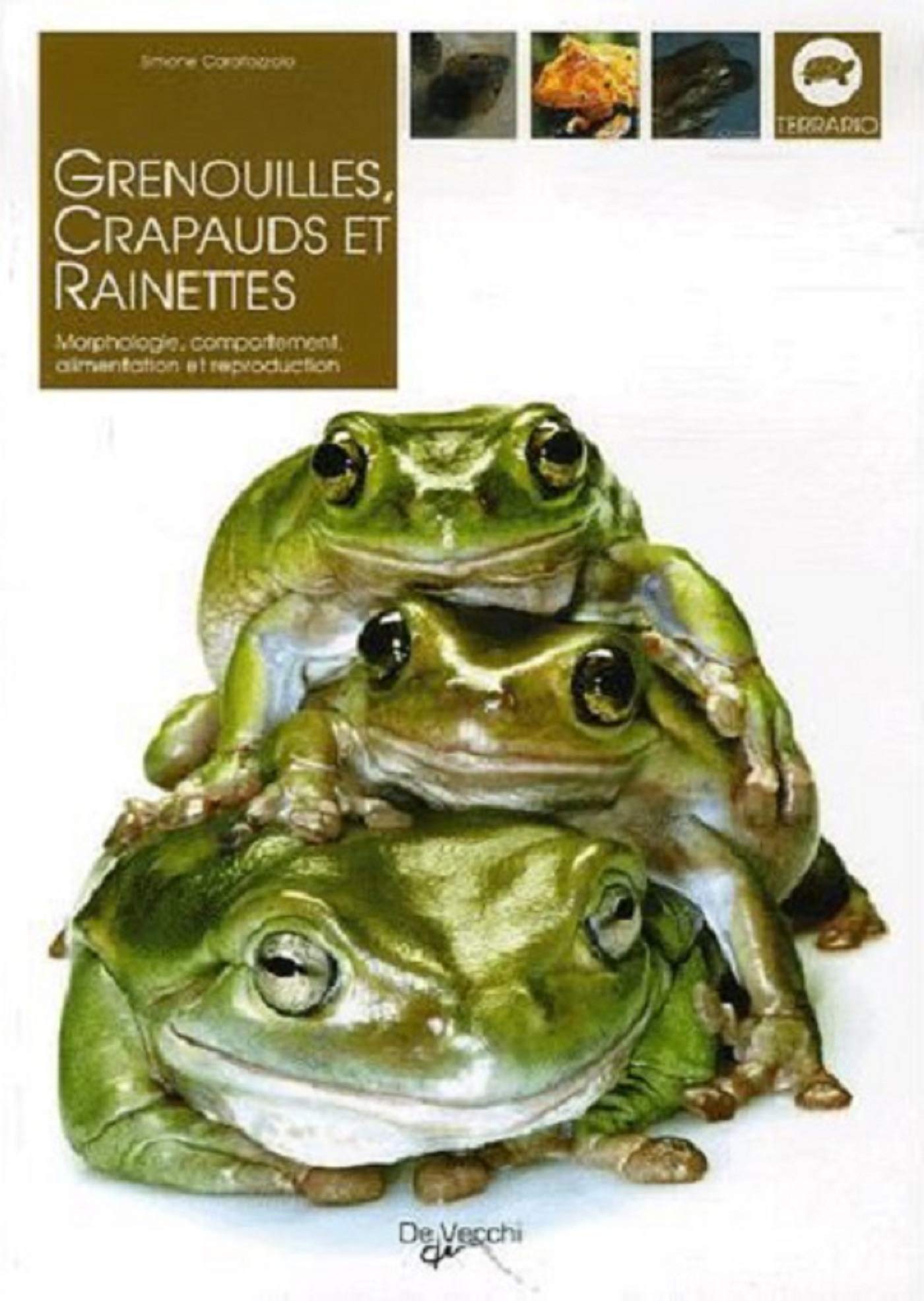 Grenouilles, crapauds et rainettes book
