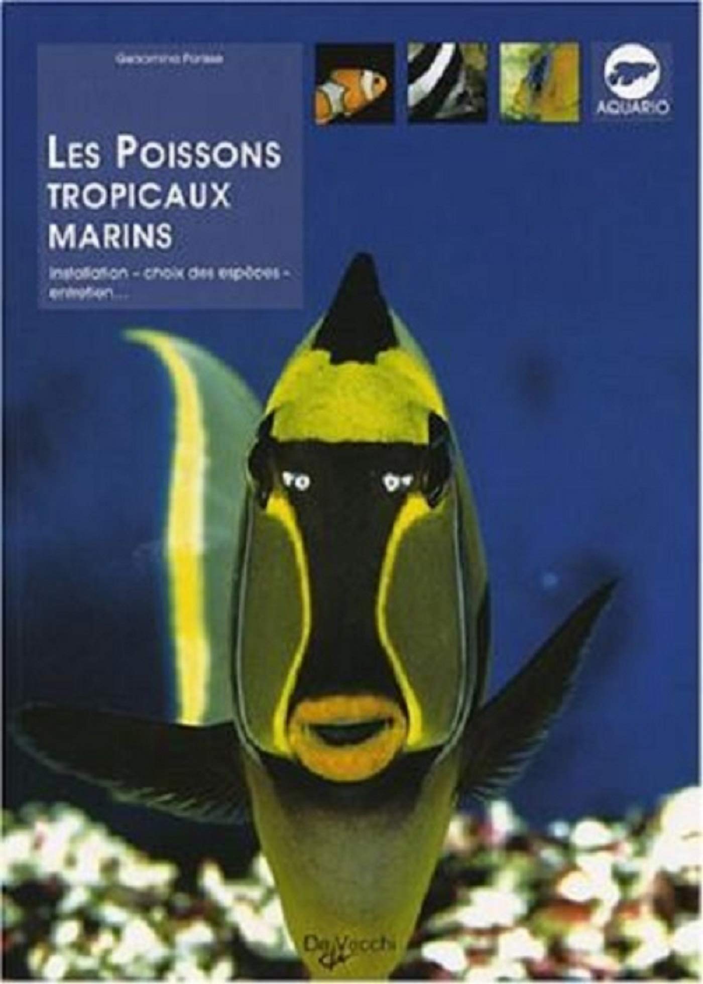 POISSONS TROPICAUX Leisure, Home & Garden