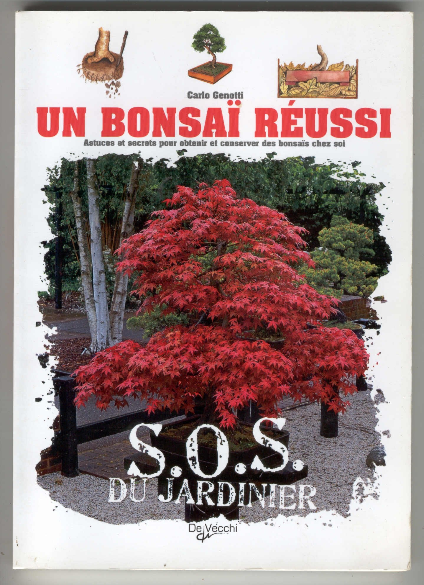 Un bonsaï réussi book