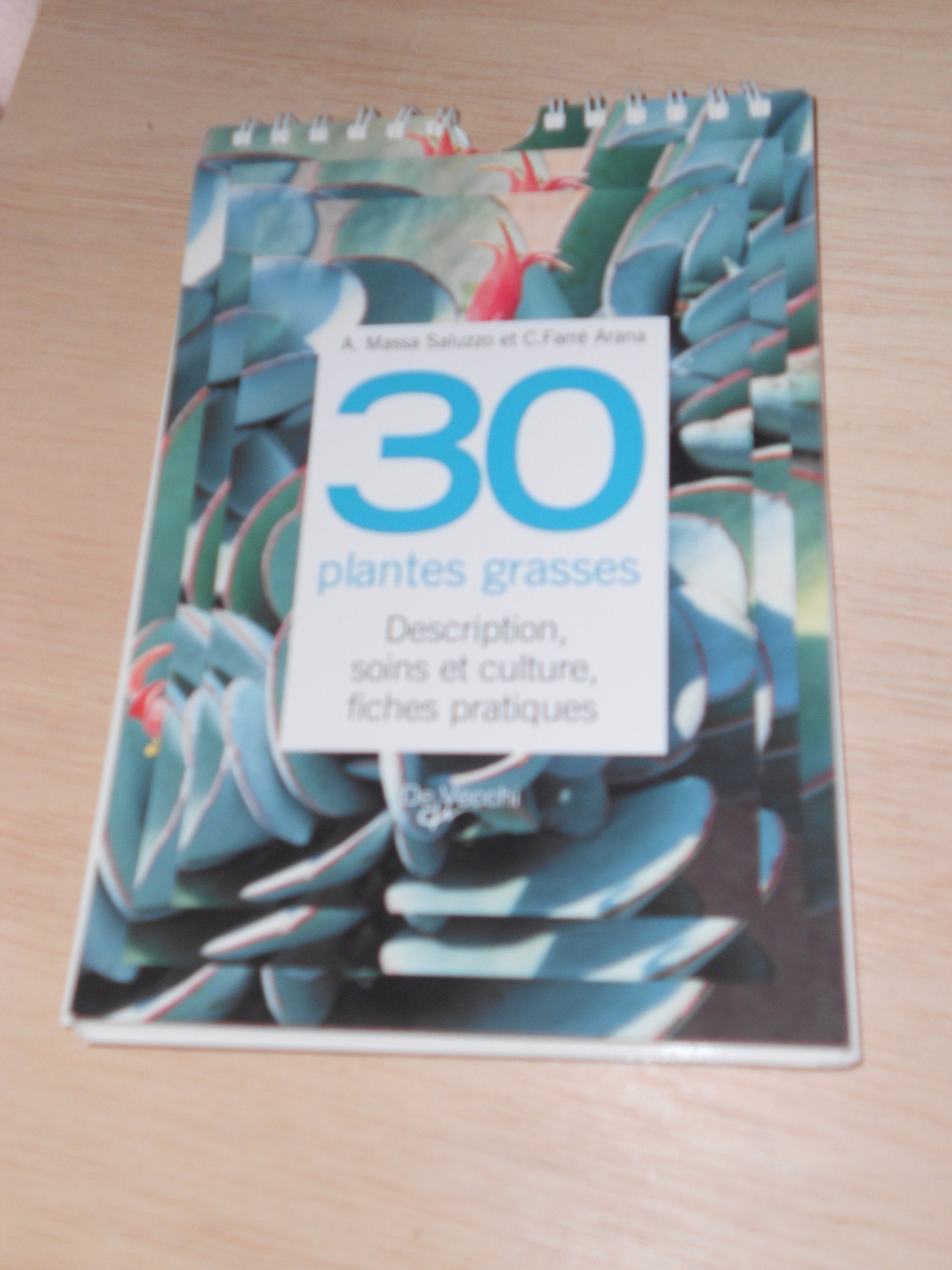 30 plantes grasses - Description, soins et culture, fiches pratiques Books
