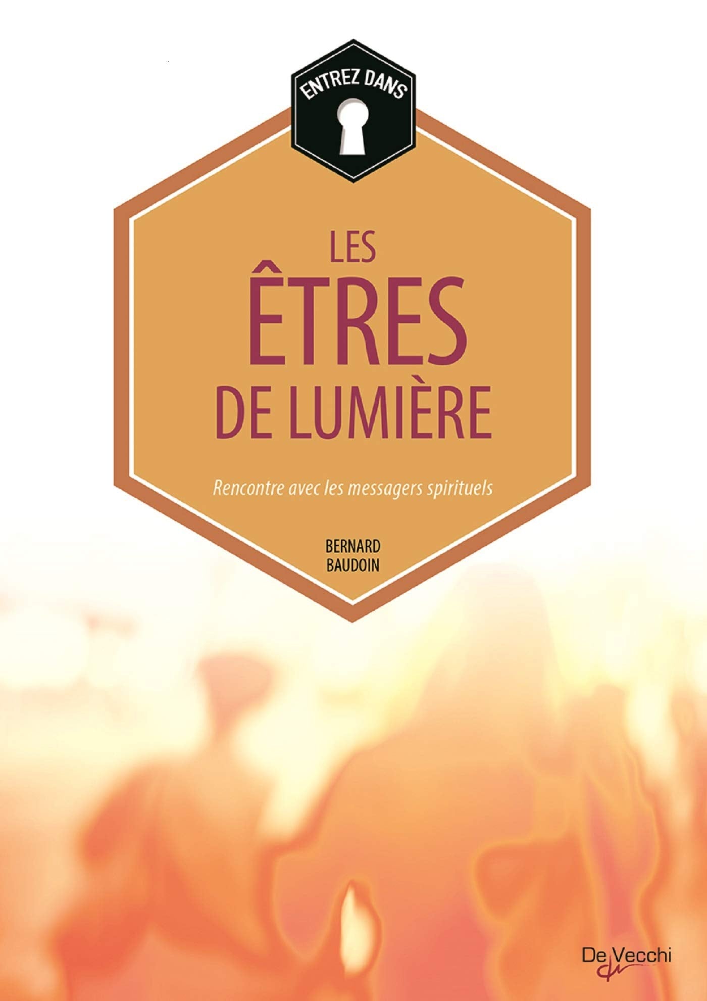 Les êtres de lumière: Rencontre avec les messagers spirituels book