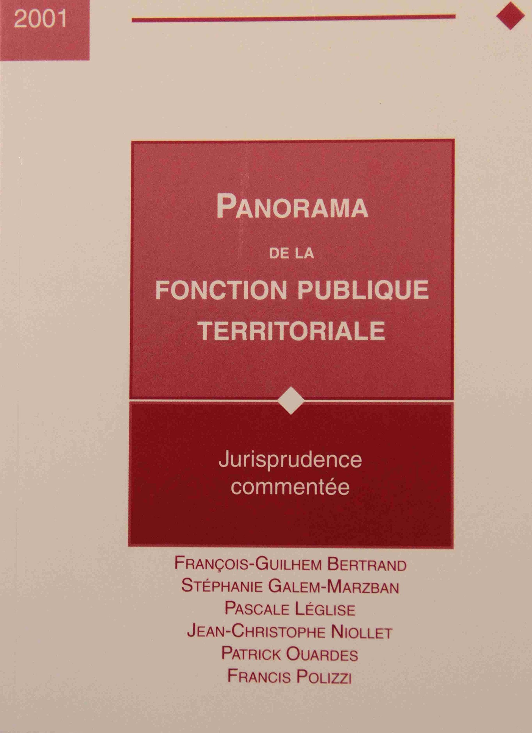Fonction publique territoriale, jurisprudence 2002 : Panorama commenté book