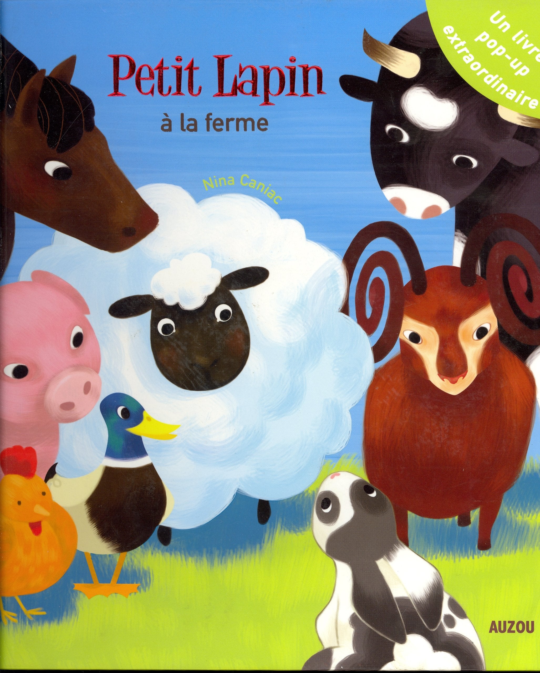 Petit lapin à la ferme un livre pop-up extraordinaire ! Children's books