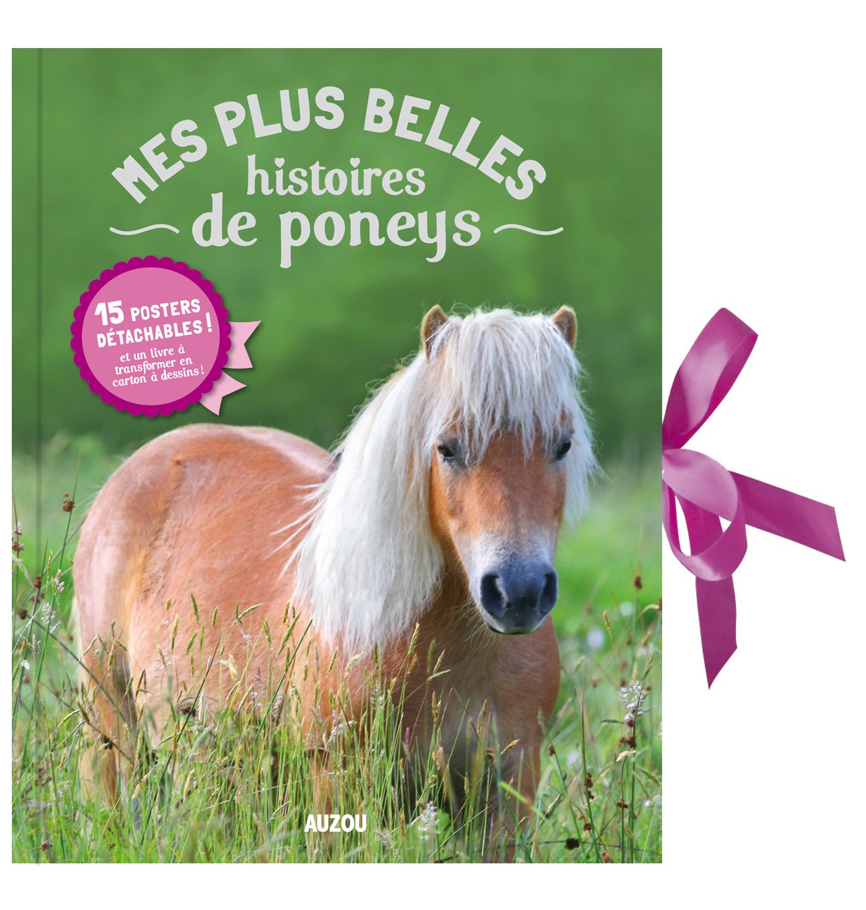 MES BELLES HISTOIRES DE PONEYS (LIVRE POSTERS) Children's books