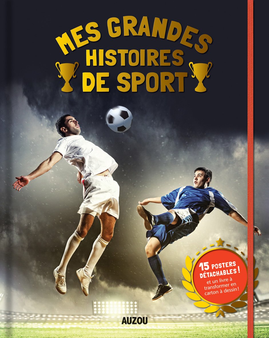 Mes grandes histoires de sport book