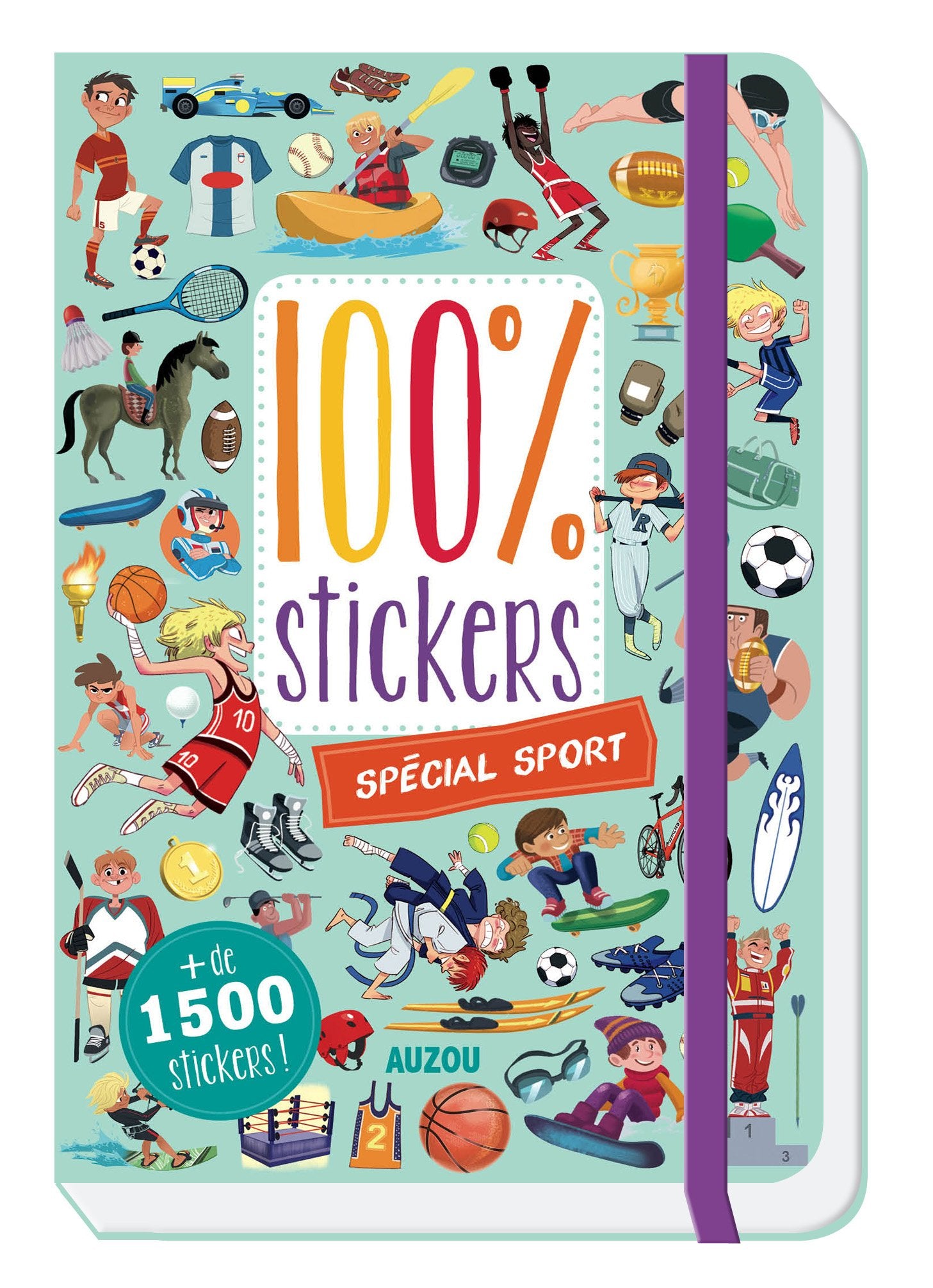 100 % stickers (spécial sport) book