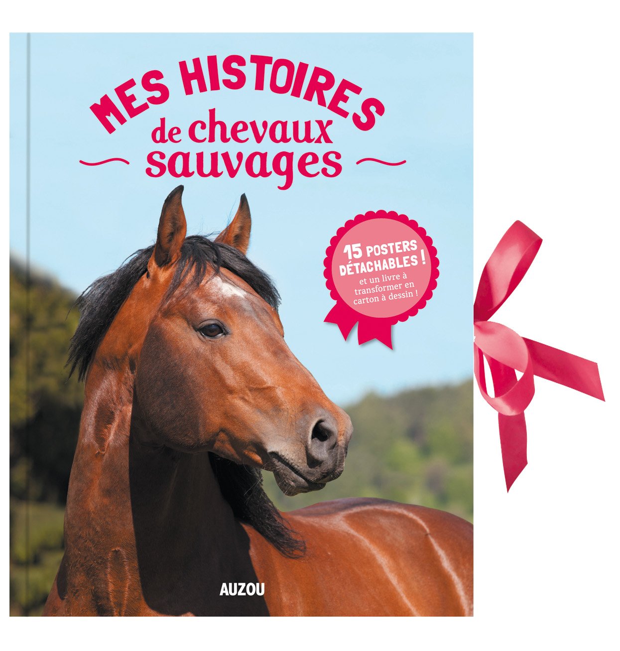 MES HISTOIRES DE CHEVAUX SAUVAGES (LIVRE-POSTERS) book