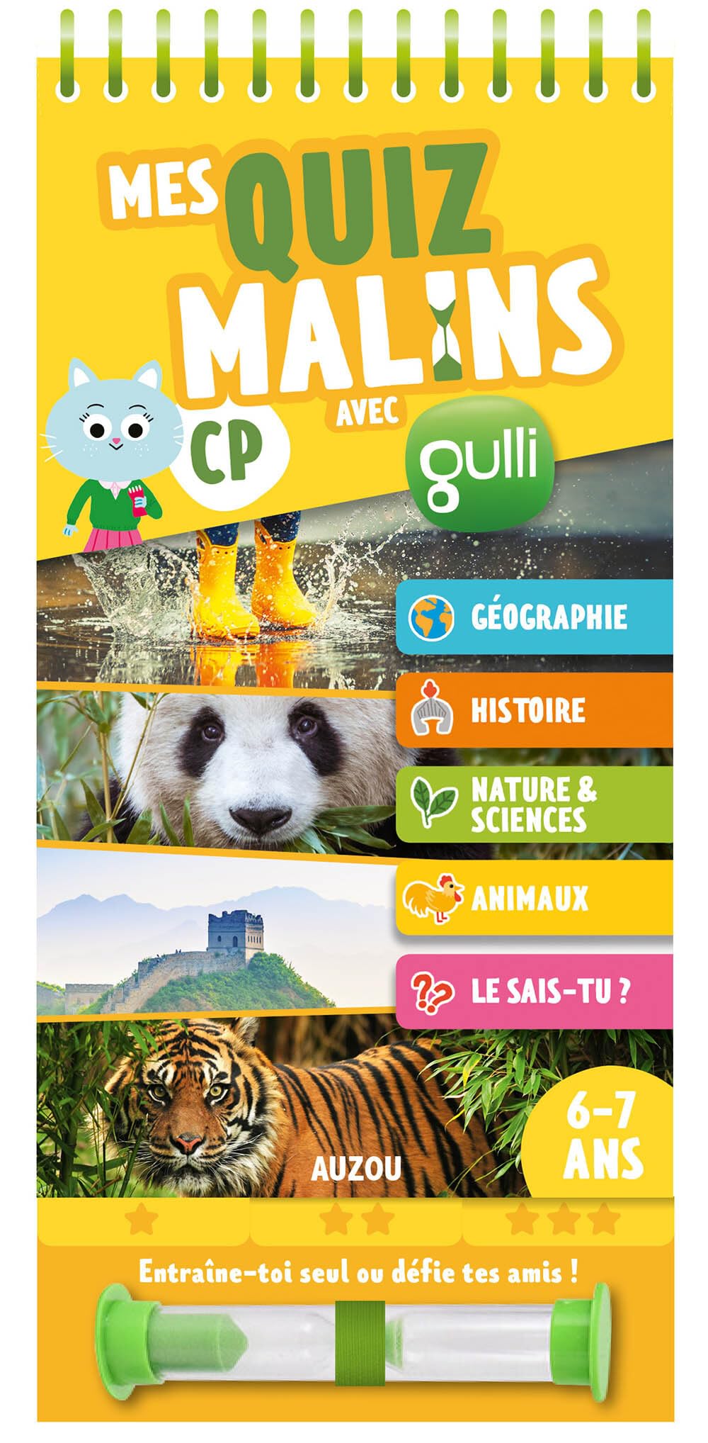 Mes Quiz malins - CP à CE1 (en partenariat avec Gulli) book