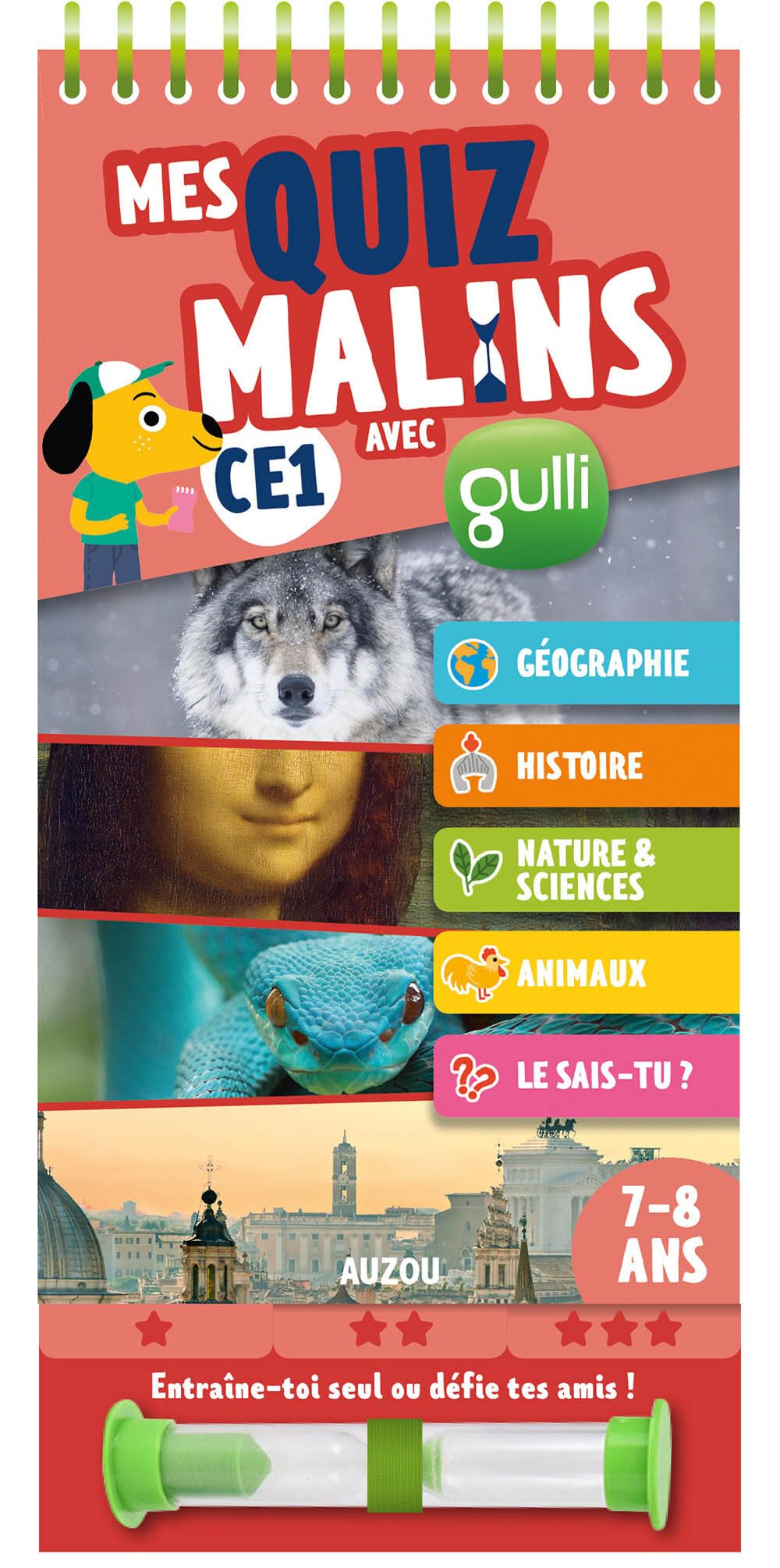 Mes Quiz Malins - Ce1 à Ce2 (En Partenariat Avec Gulli) book