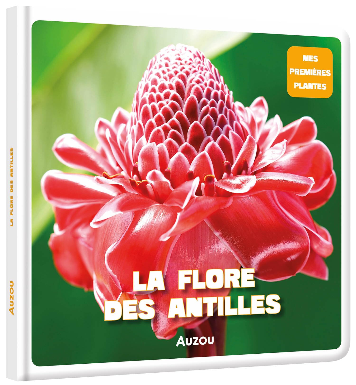 La flore des Antilles Non-fiction