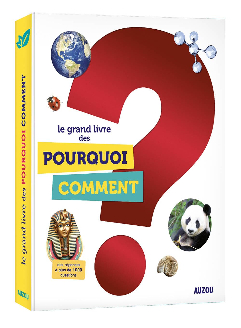LE GRAND LIVRE DES POURQUOI COMMENT Children's books