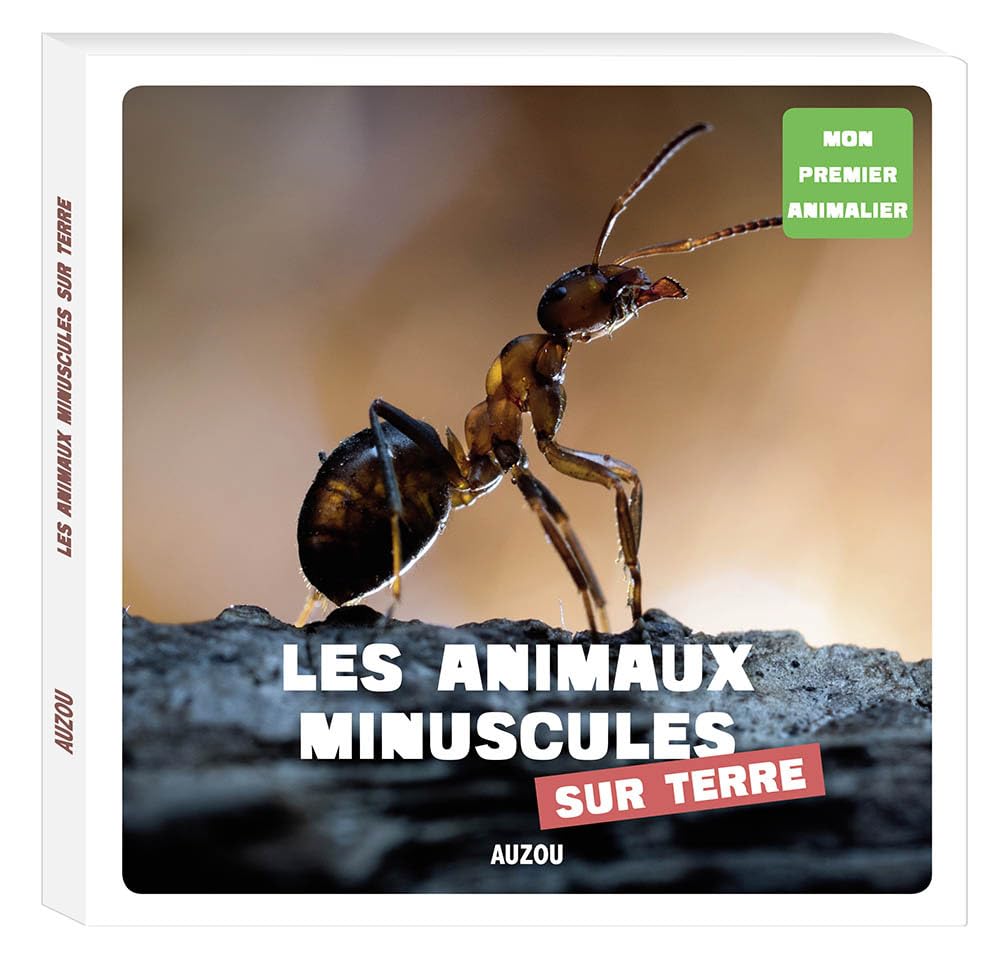 MON PREMIER ANIMALIER - LES ANIMAUX MINUSCULES DE LA TERRE Non-fiction