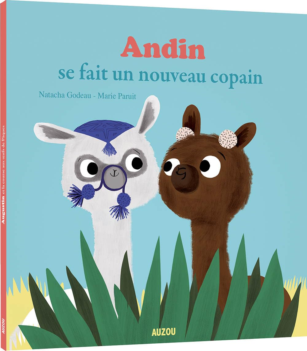 ANDIN SE FAIT UN NOUVEAU COPAIN Children's books