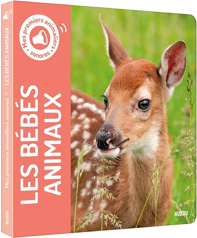 Product Image: Les bébés animaux