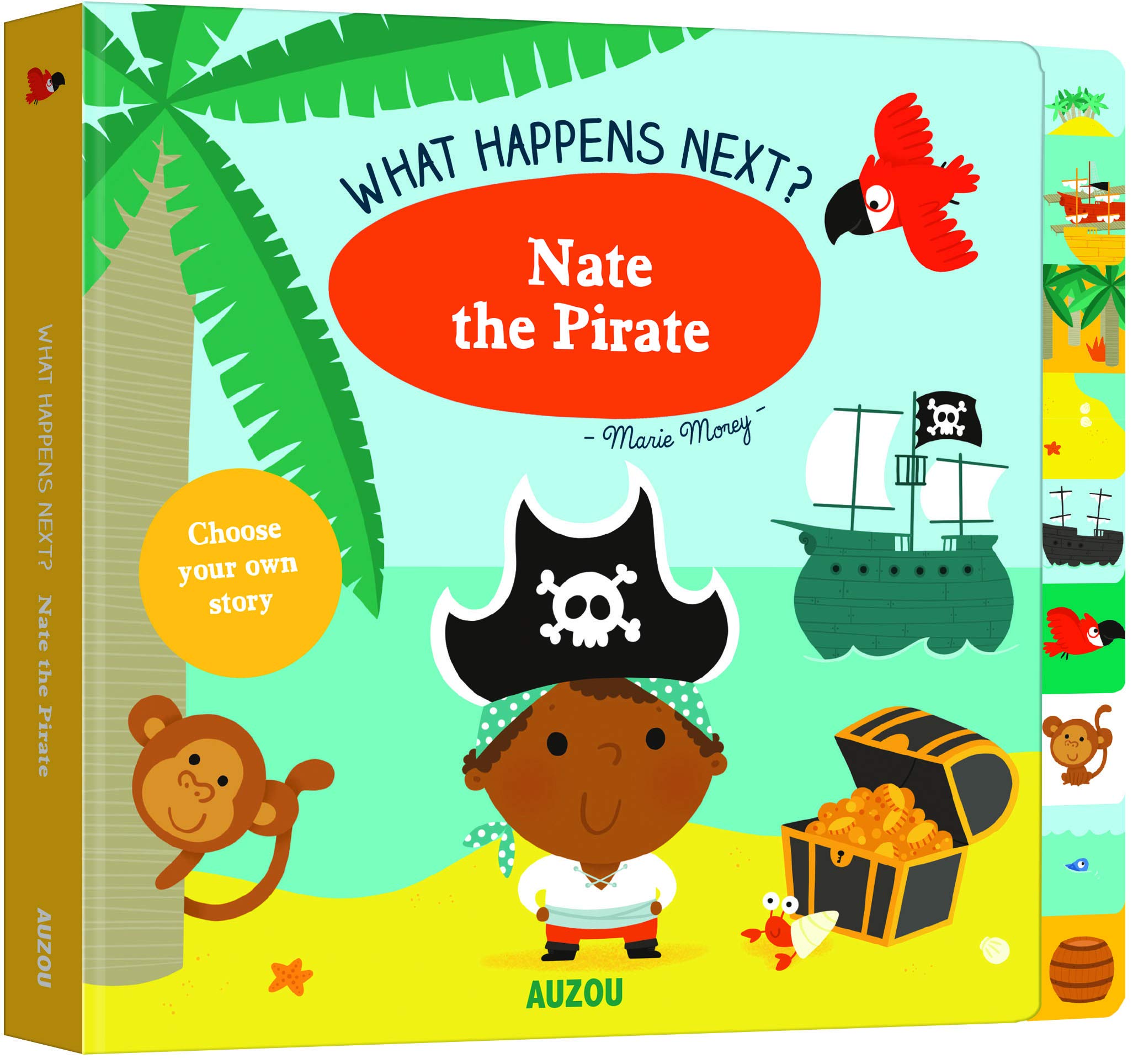 Nate the Pirate (What Happens Next?) Novels & Short Stories