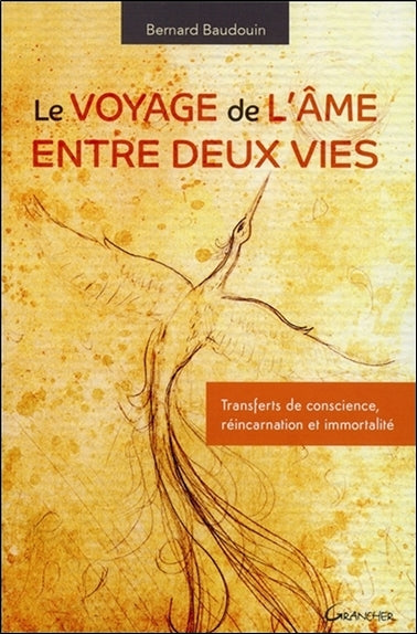 Le voyage de l'âme entre deux vies : transferts de conscience, réincarnation et immortalité Religion & Esotericism