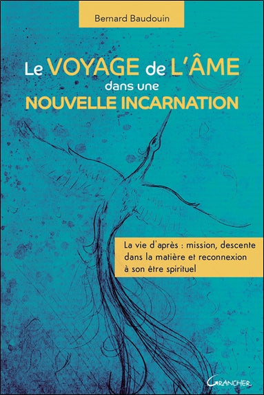 Le voyage de l'âme dans une nouvelle incarnation : la vie d'après : mission, descente dans la matière et reconnexion à son être spirituel Religion & Esotericism