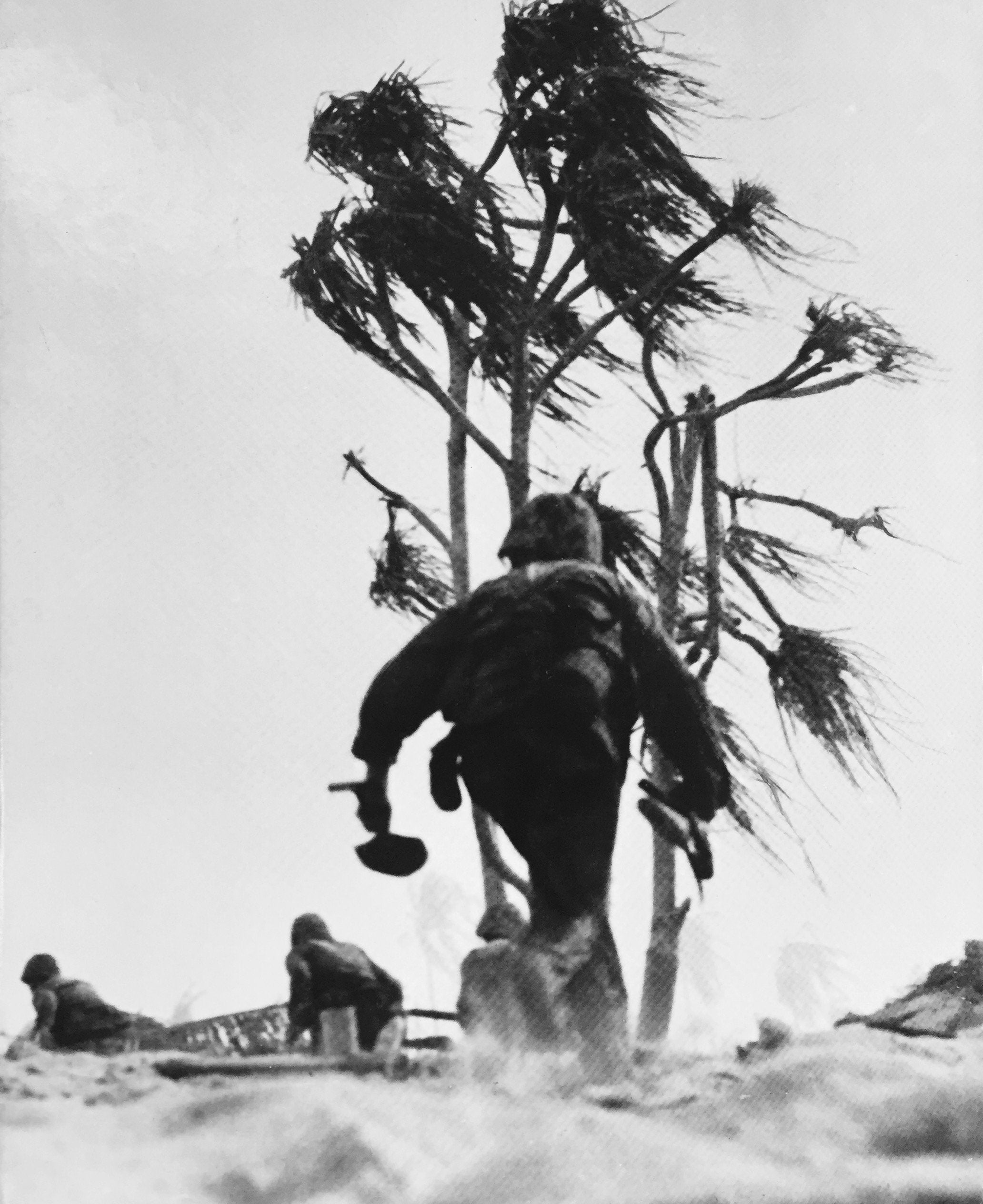 L'Offensive du Pacifique (La Deuxième guerre mondiale) Books