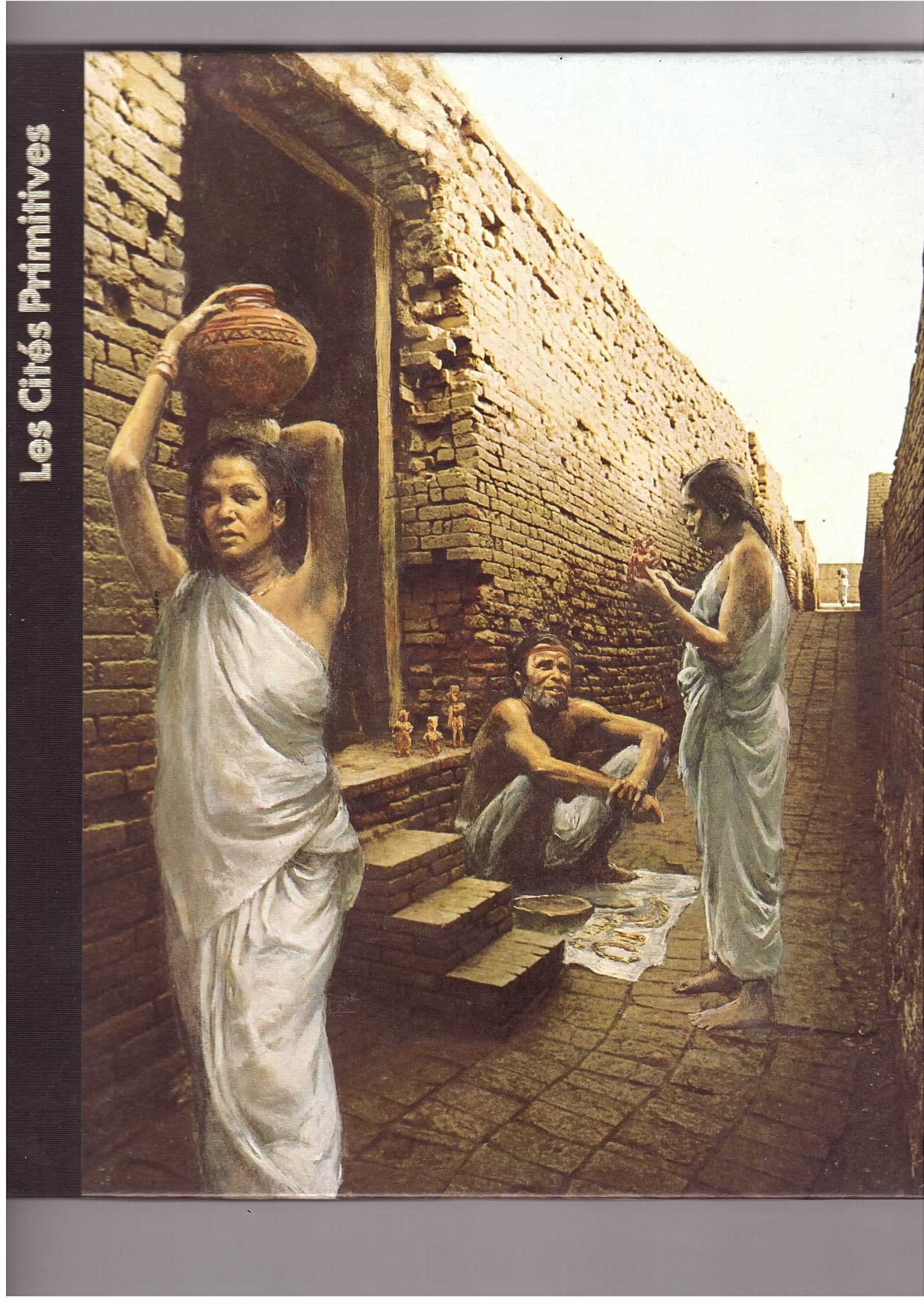 Les cités Primitives (Les Origines de l'homme) book