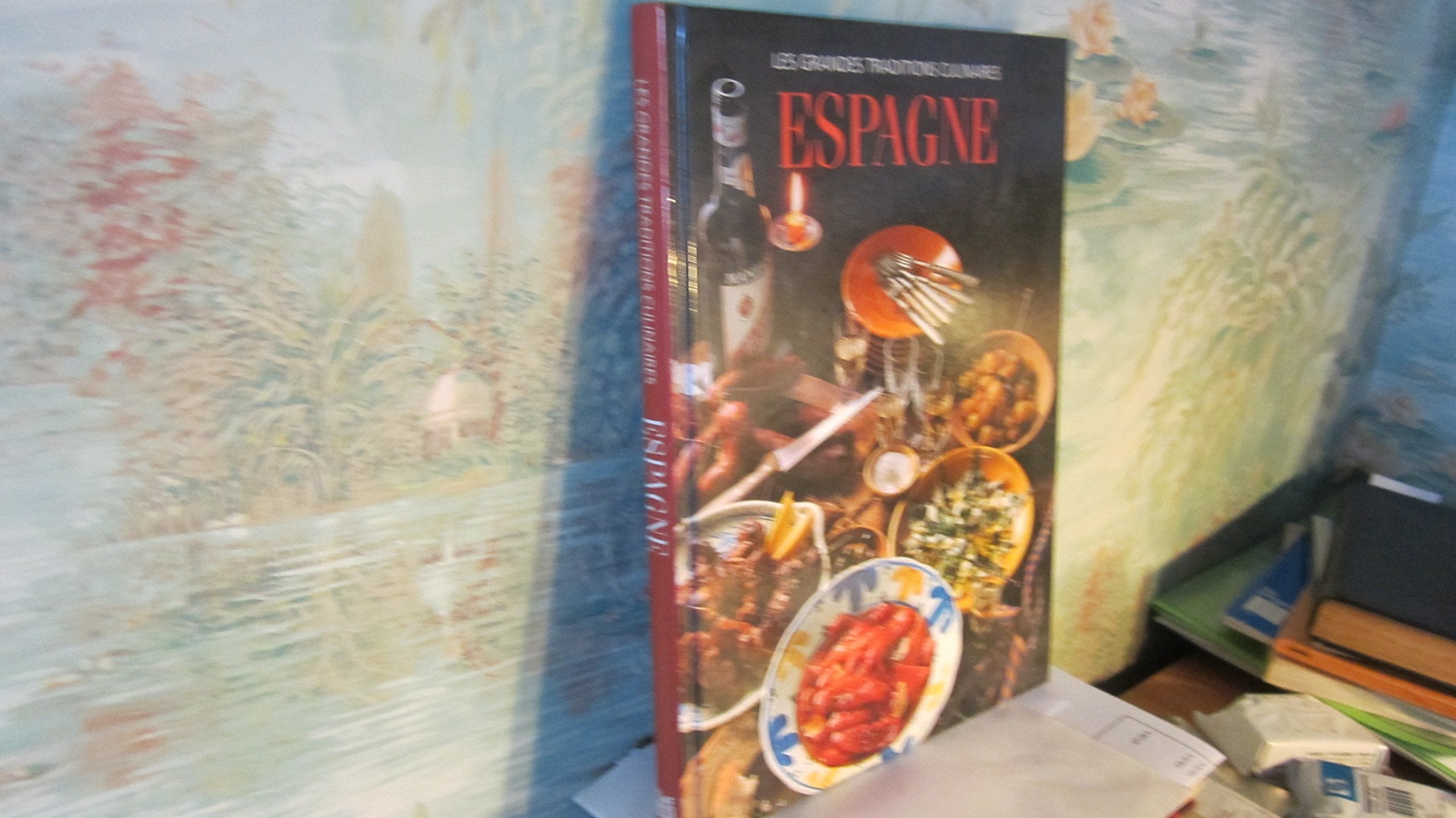 Espagne: Le pays et les gens... toutes les grandes recettes book