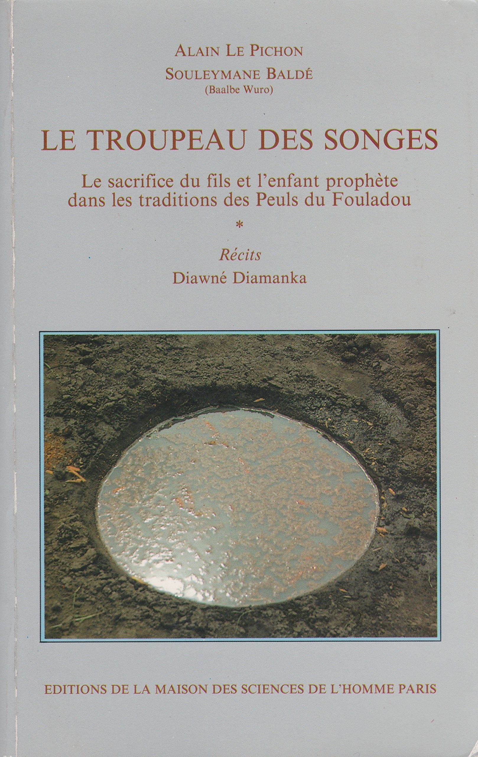 Le troupeau des songes book