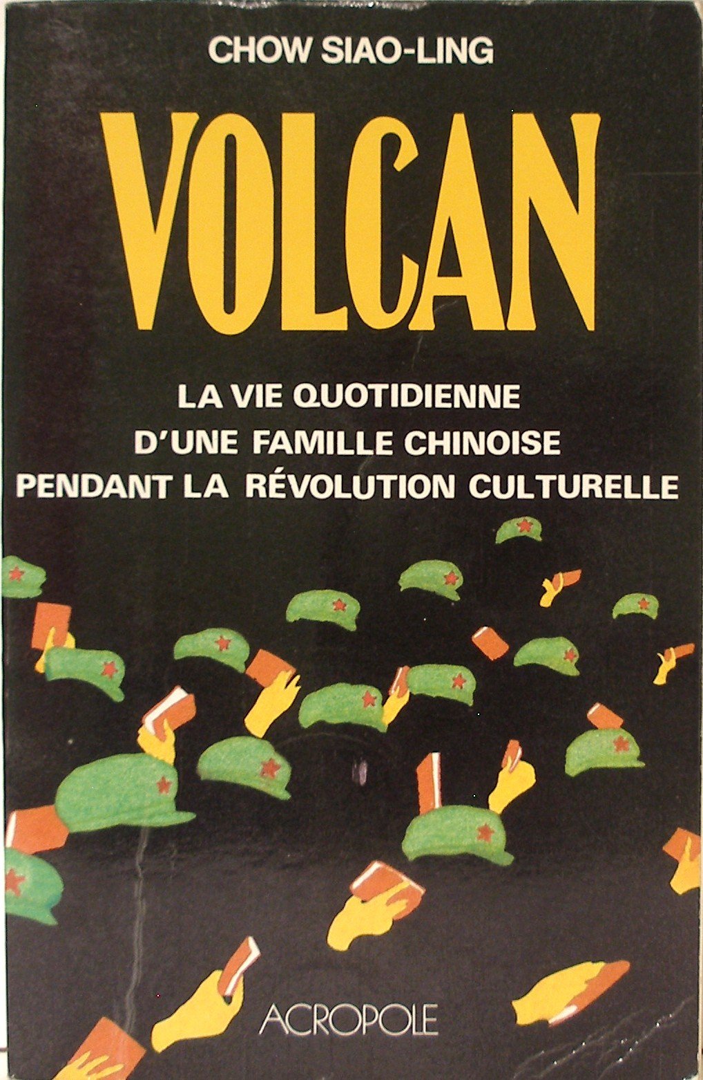 Le Volcan : la vie quotidienne d'une famille chinoise pendant la Révolution culturelle Books