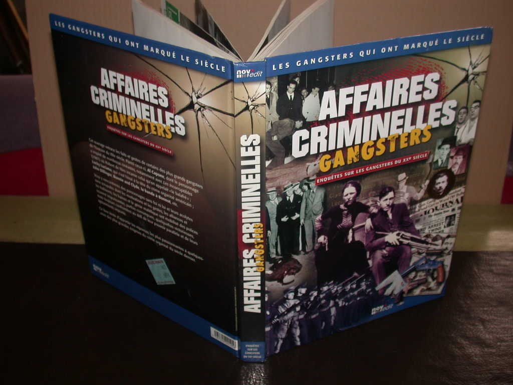 Affaires criminelles - Enquêtes sur les grands crimes du XXème siècle Books