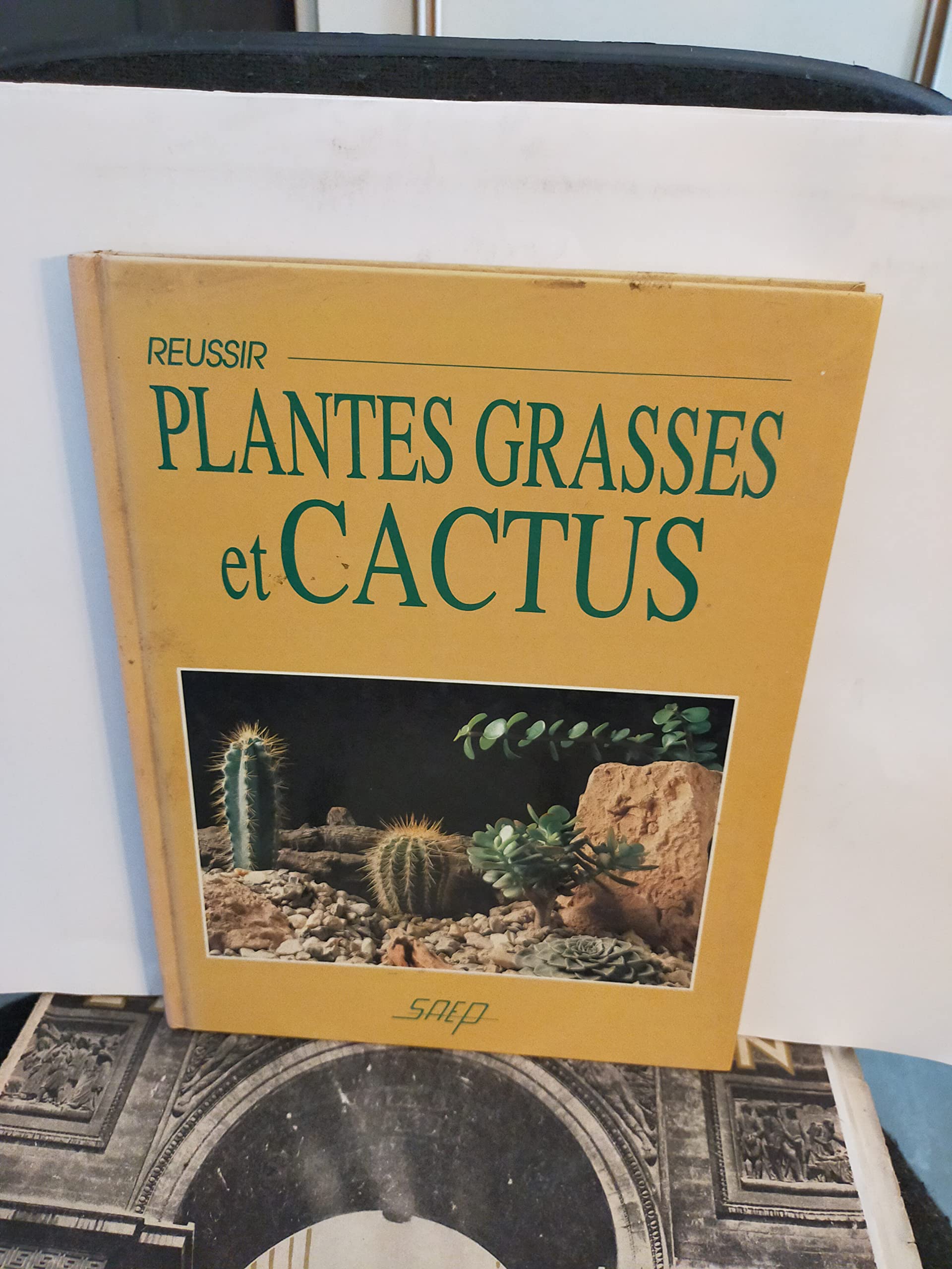 Réussir plantes grasses et cactus Books