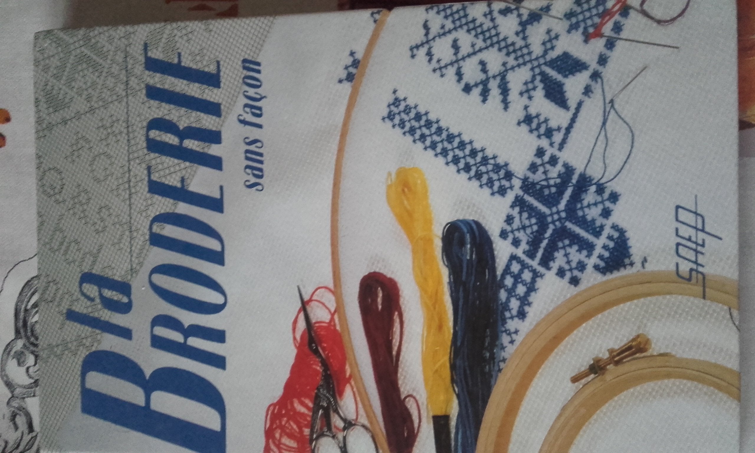 La broderie sans façon: Une passion à découvrir point par point Books