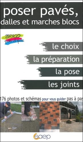 Poser pavés, dalles et marches blocs: Choix, niveaux, pose, joints Hobbies & Crafts
