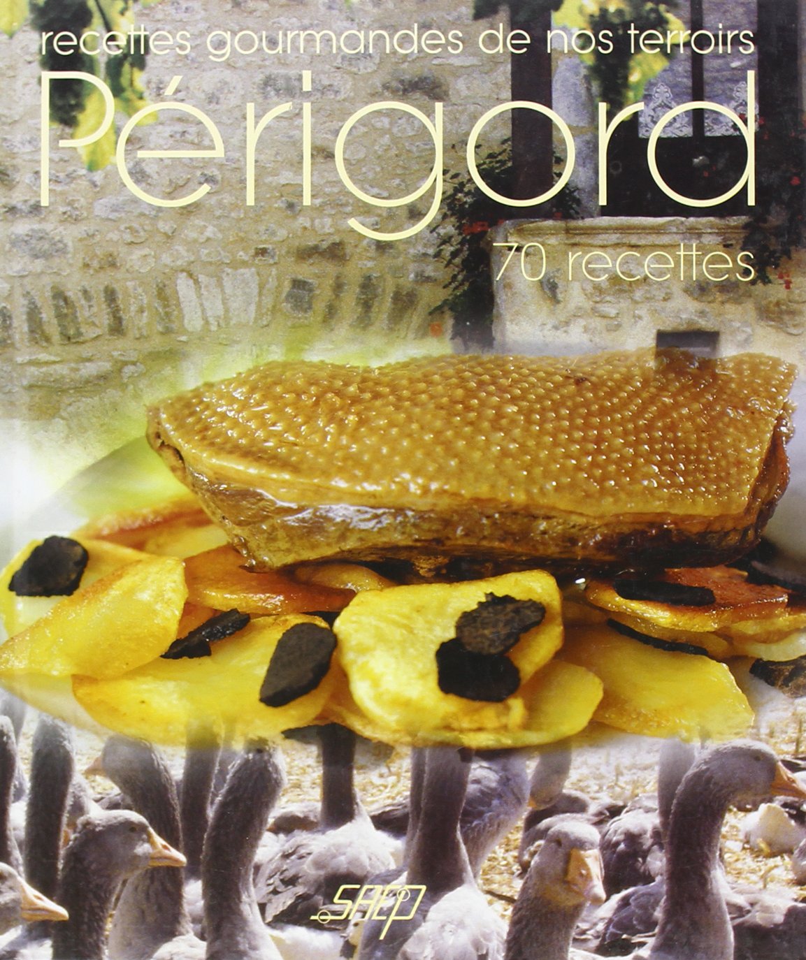 Recettes gourmandes de nos terroirs : Perigord Books