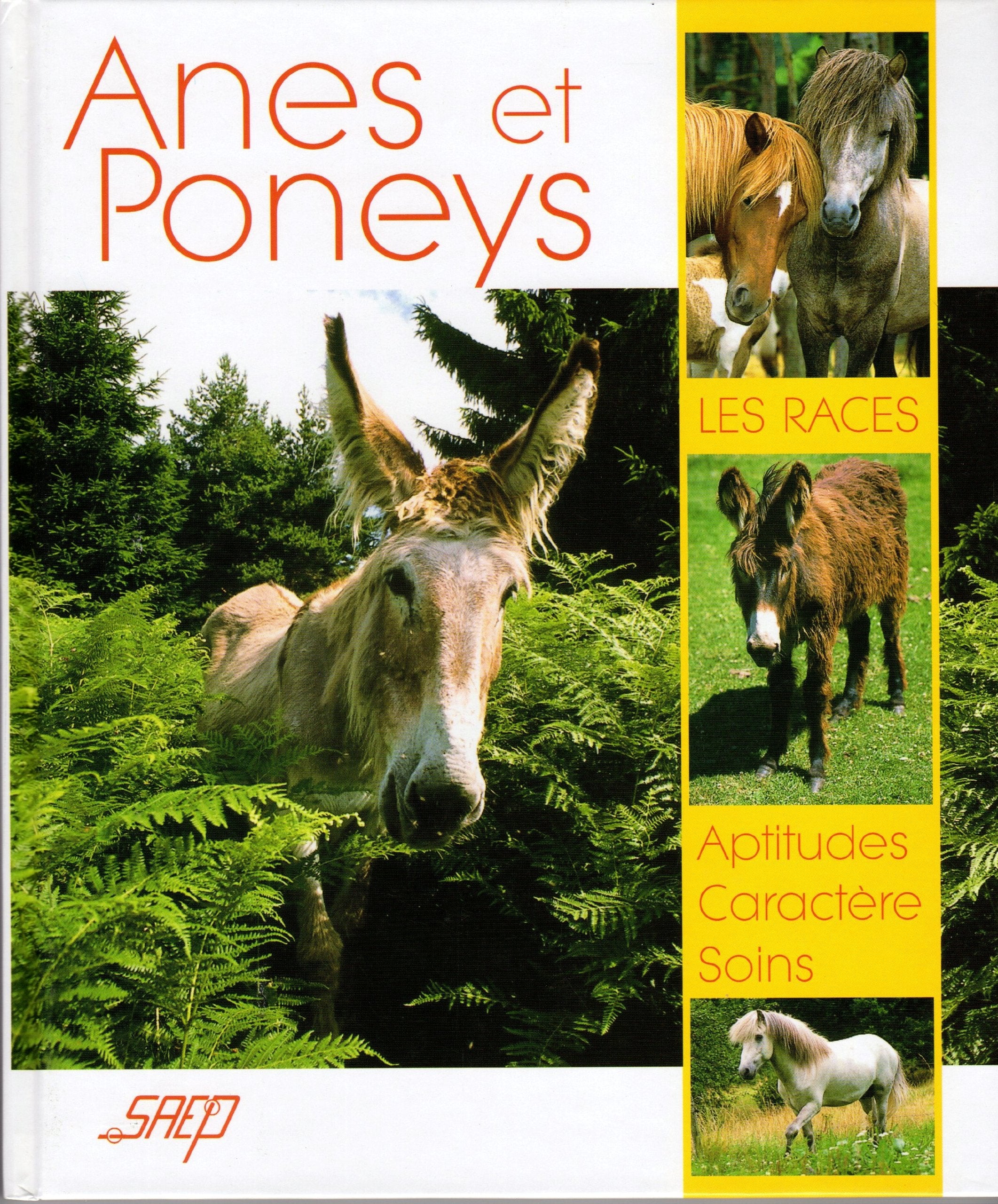 Anes et poneys : Les races / Aptitudes, Caractère, Soins book