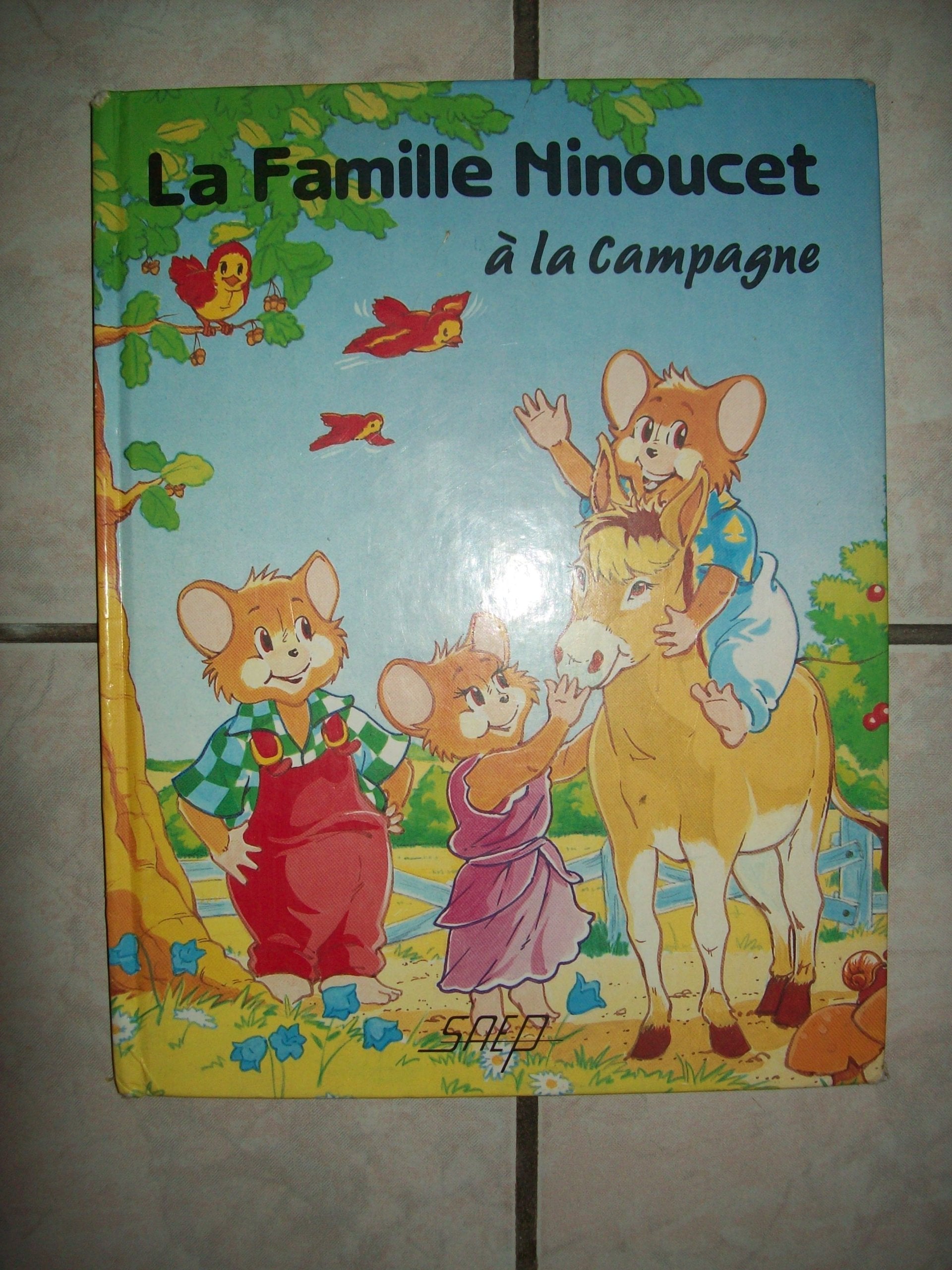 la famille ninoucet a la campagne book