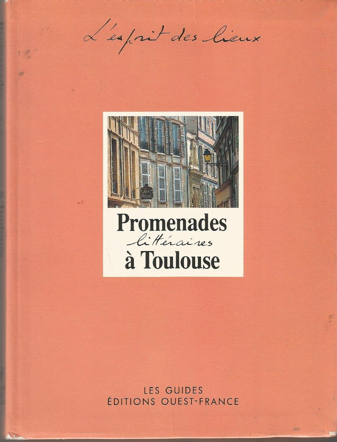 Promenades litteraires a toulouse Books