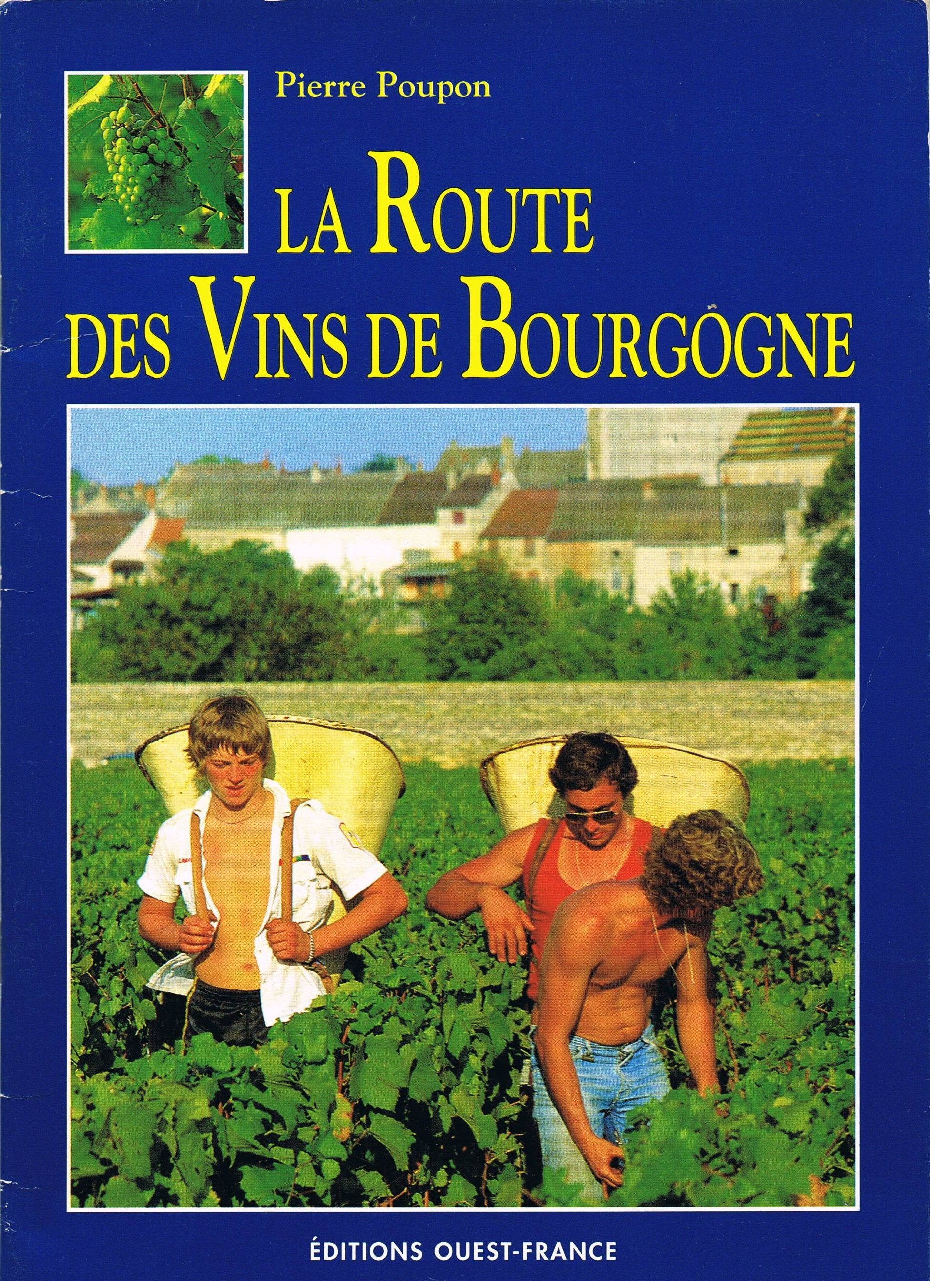 Route des de Bourgogne book
