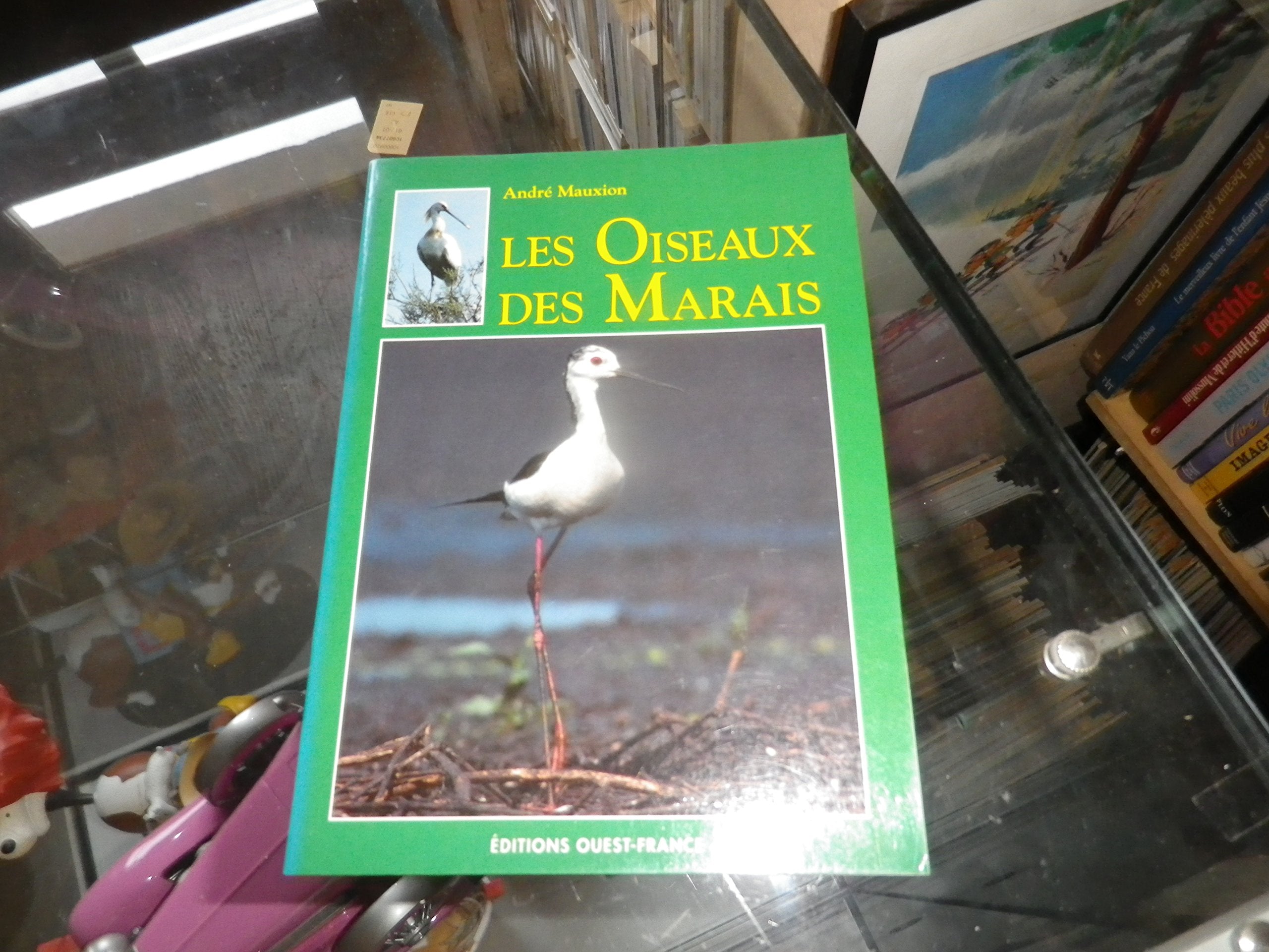 Les oiseaux des marais: Palmipèdes, rapaces, passeraux, petits et grands échassiers... Books