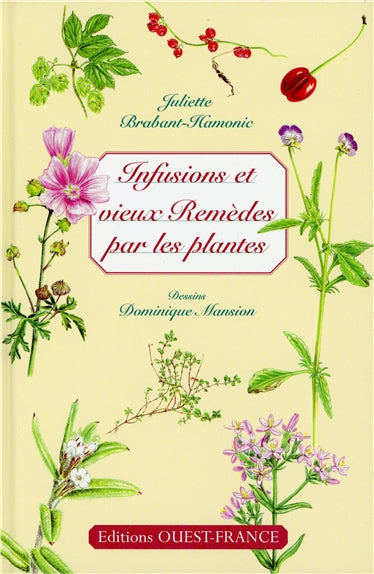 Infusions et vieux remèdes book