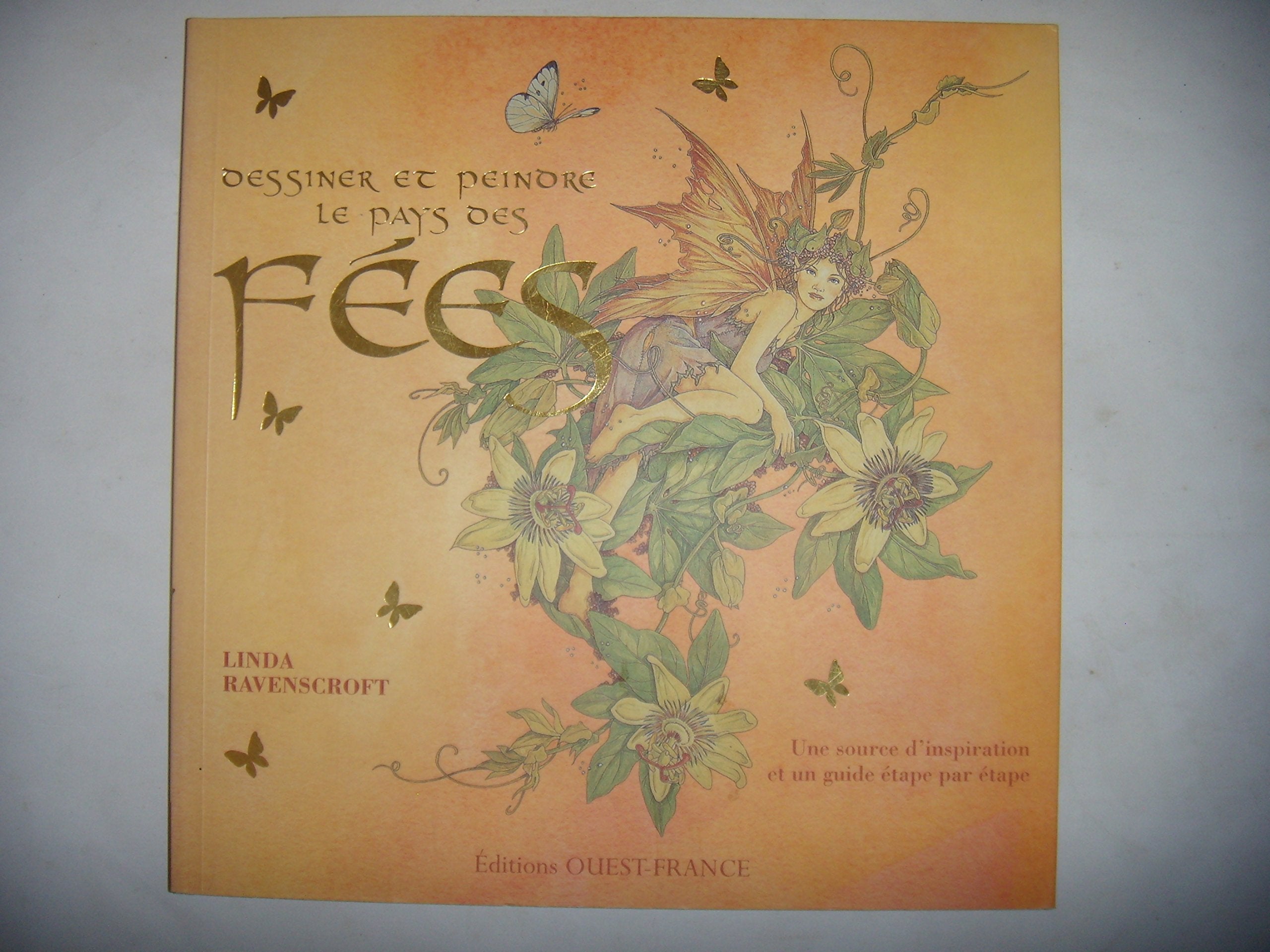 Dessiner et peindre le pays des fées book