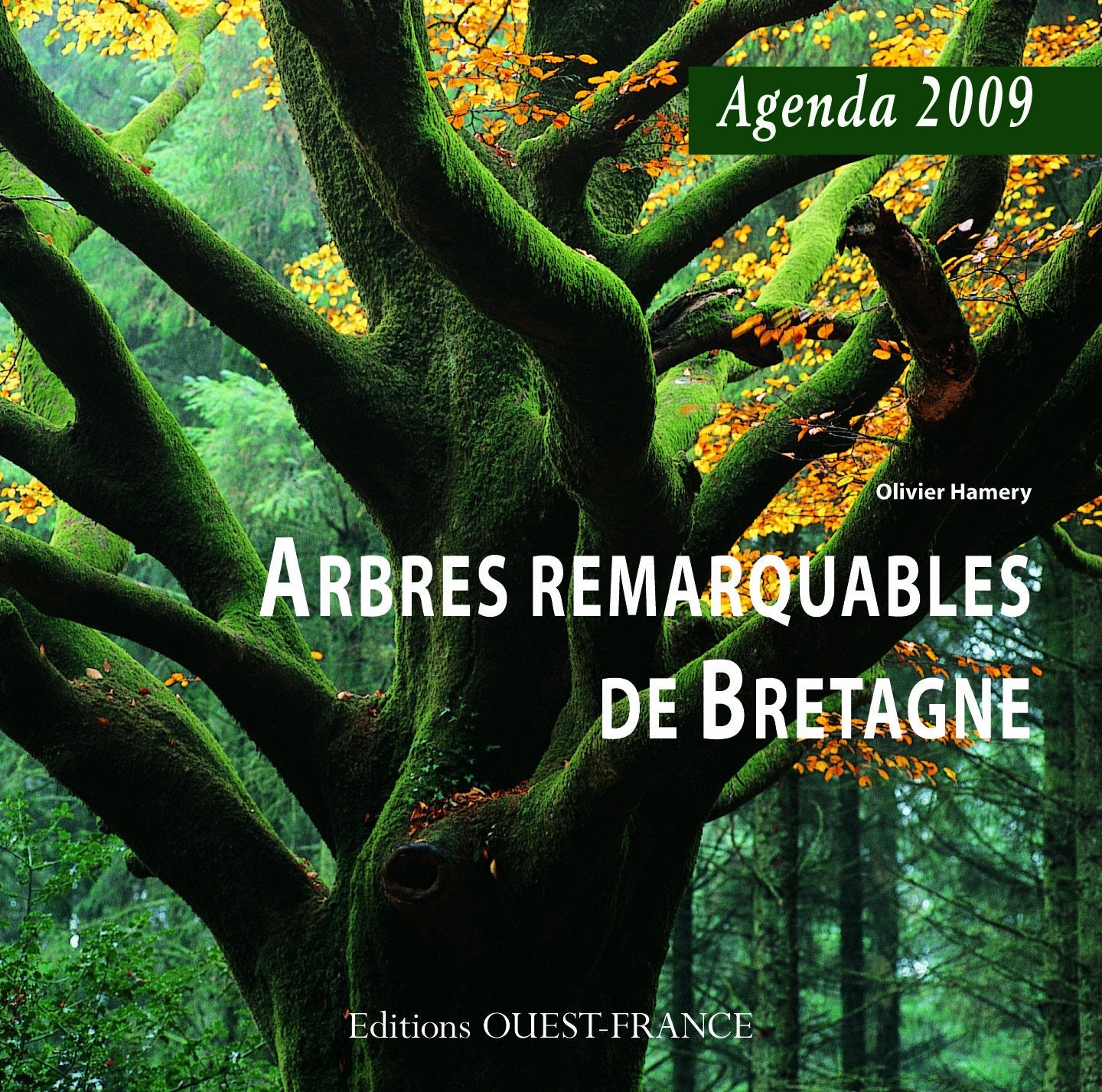 Agenda 2009 Arbres Remarquables de Bretagne Books