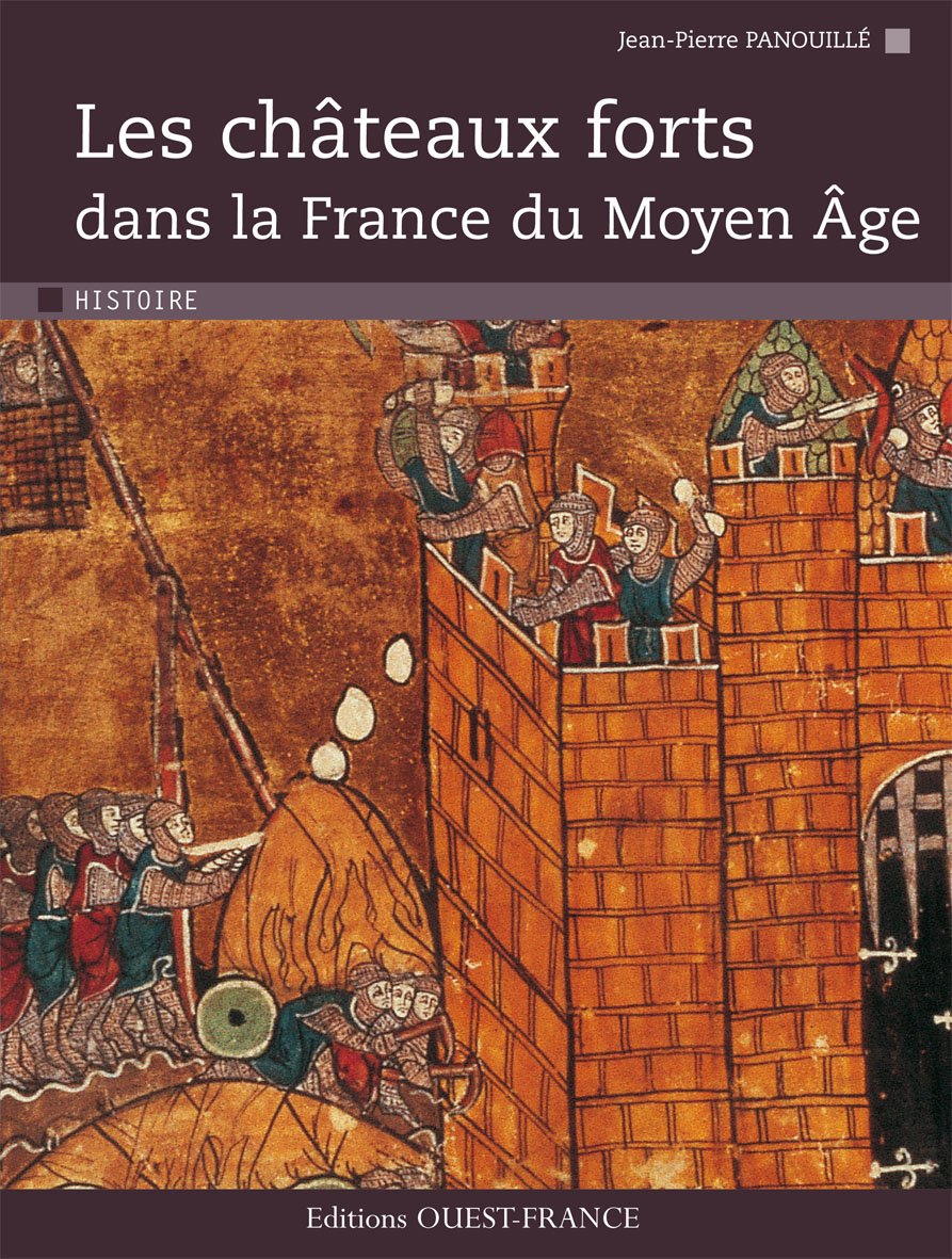 Les Châteaux forts dans la France du Moyen Age book